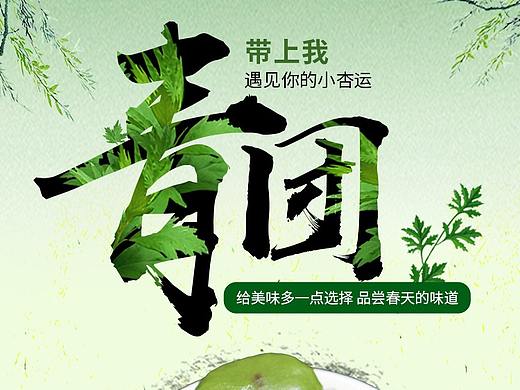青团详情