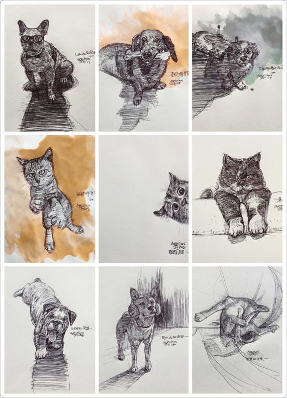 【可愛動物系列】