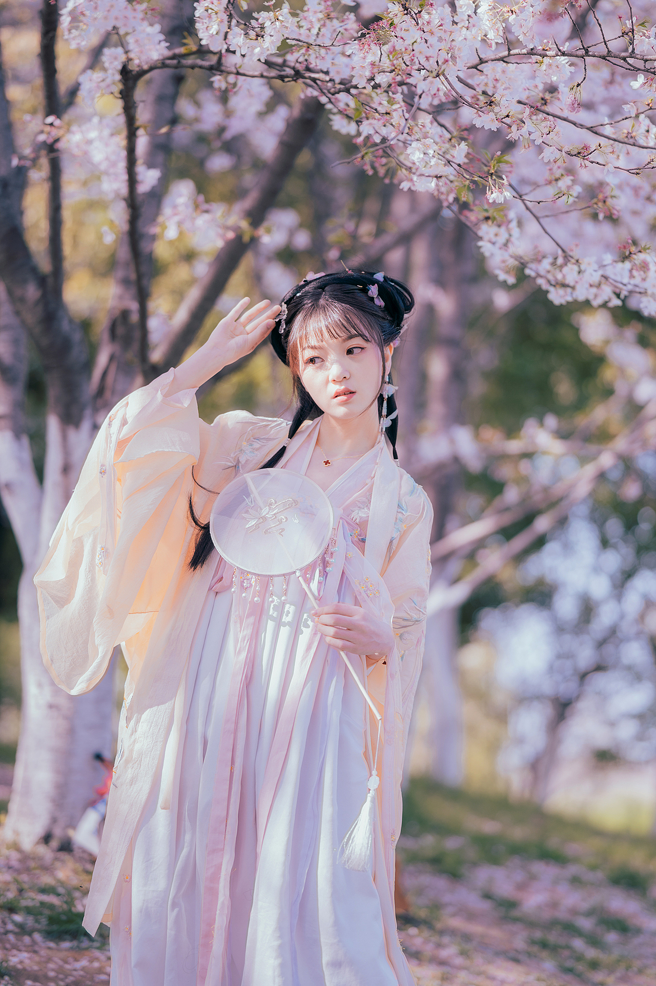 樱花落（图ZMjA0MzMxNjQ4） - 人像摄影 - 站酷设计师拍照的青山原创素材 - 站酷ZCOOL