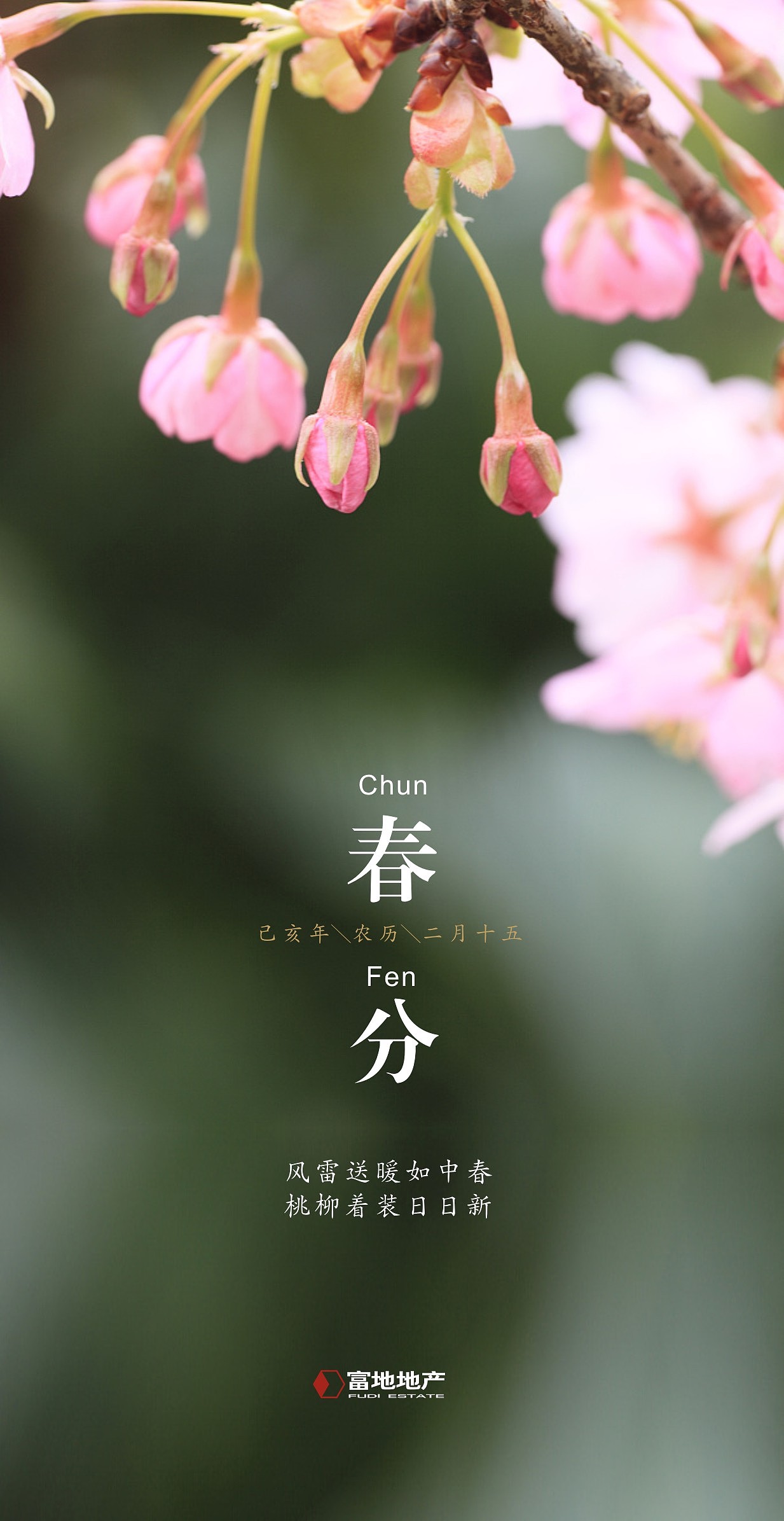 春分\二十四节气海报\微信海报\春天（图ZMTUwNDEyNzA0） - 海报 - 站酷设计师飞度视觉的强原创素材 - 站酷ZCOOL