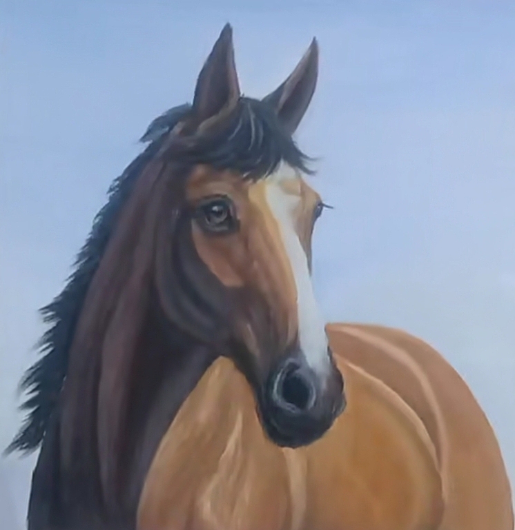 马|纯艺术|绘画|z84302136_临摹作品-站酷zcool