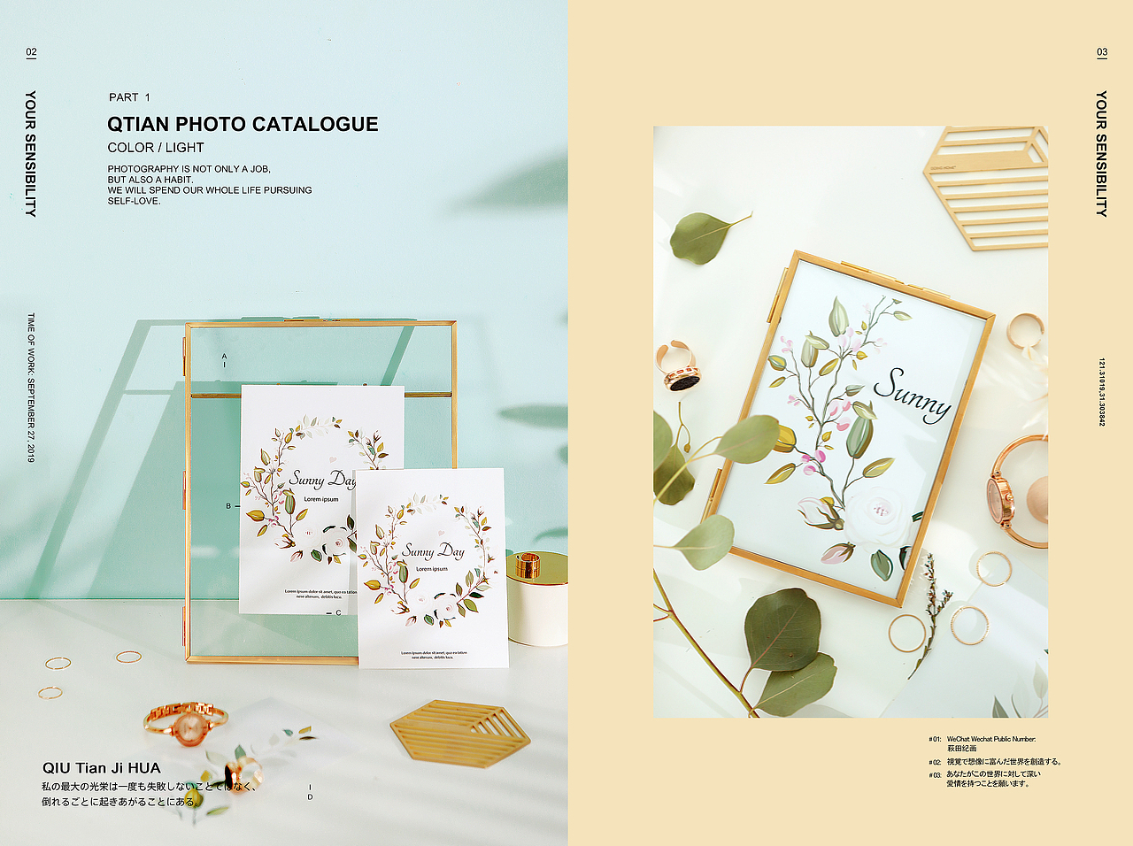 有光有影的日子里