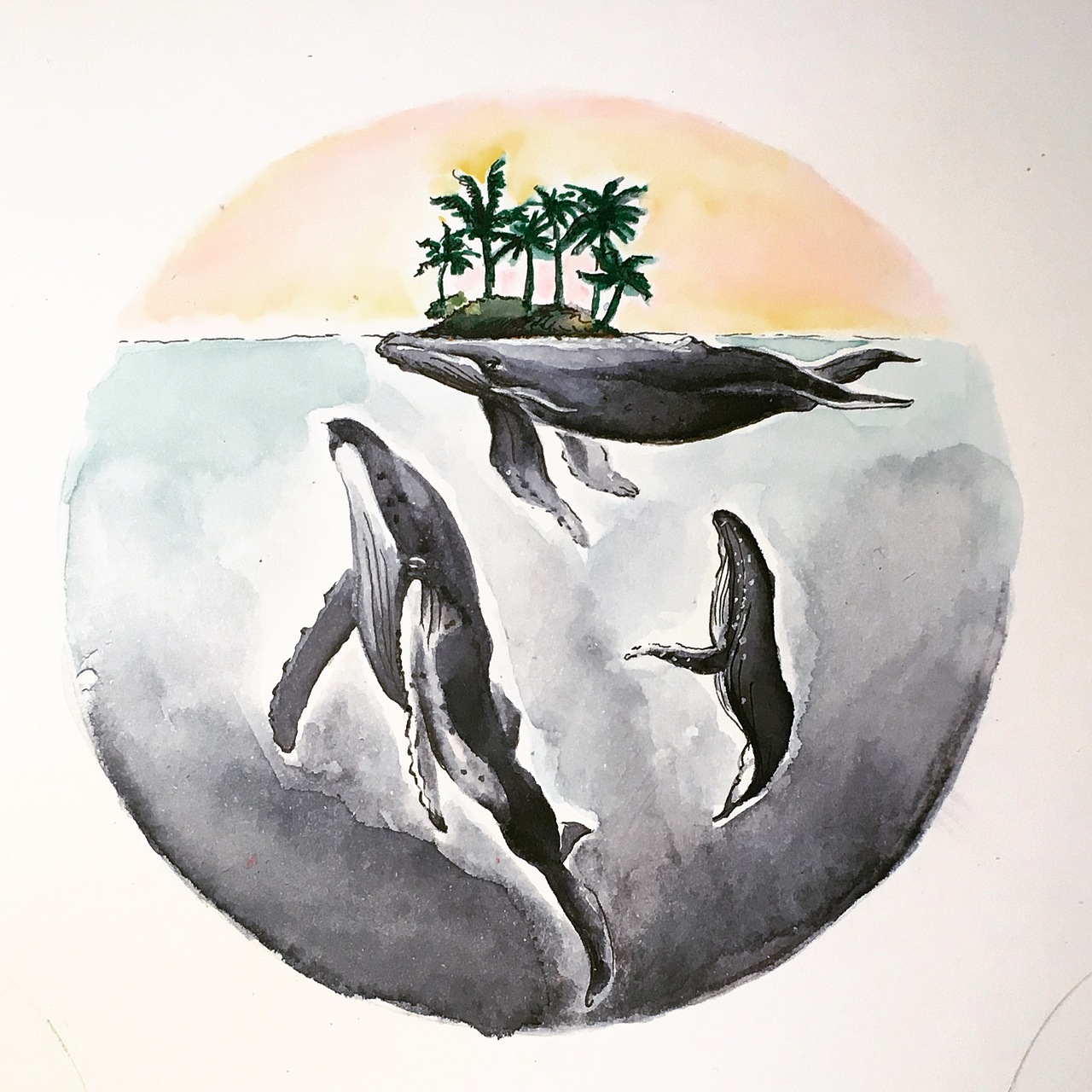 鲸鱼的幻想世界第二弹。