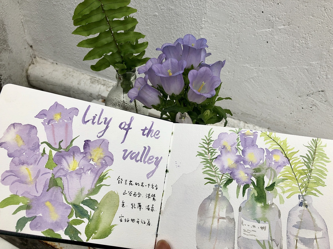 【鼓浪屿旅行插画+手绘记录】林田原创（图ZMTk2MTM0NzUy） - 创作习作 - 站酷设计师林田lisa原创素材 - 站酷ZCOOL