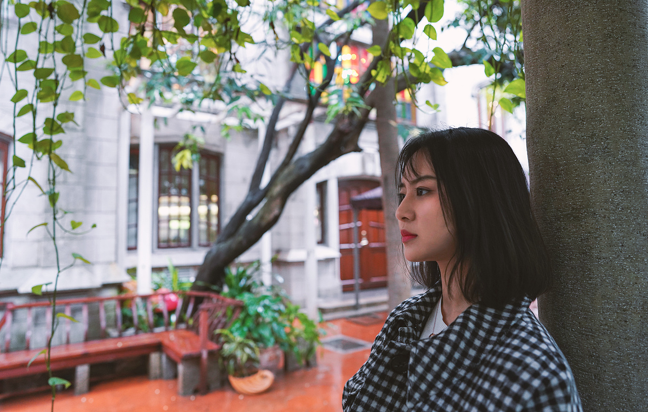 东山口の风  续