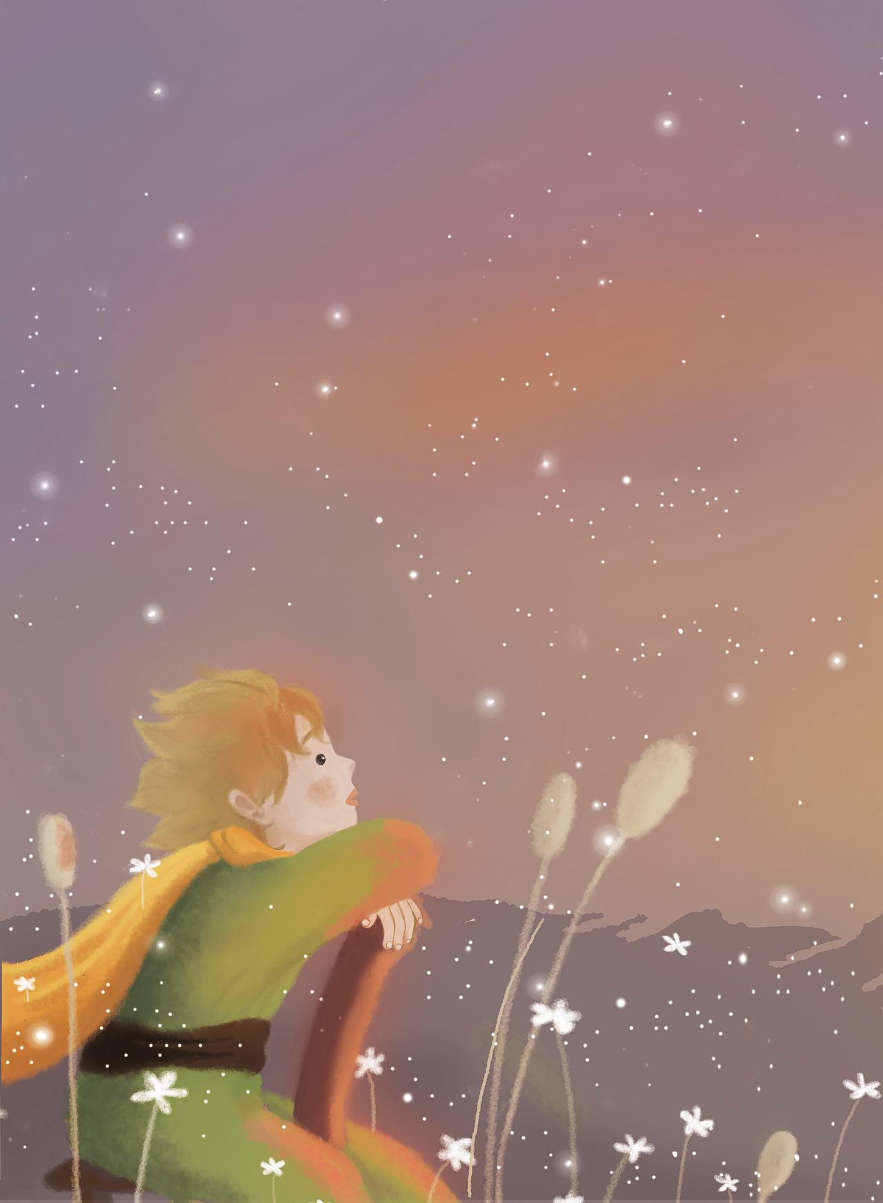 小王子 little prince