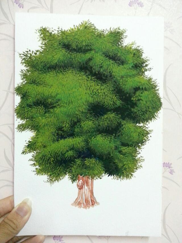 【榕树】不透明水彩,超简单绘画!