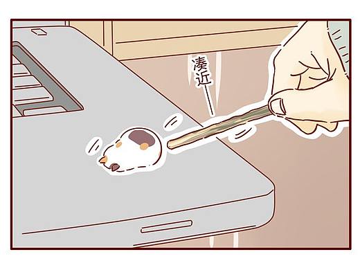 饲养袖珍三花喵的日常（4）