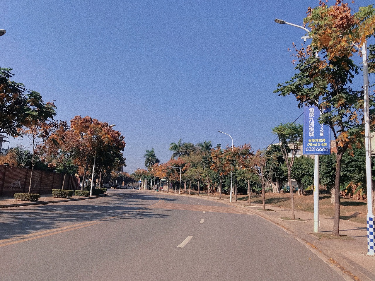 上班路上的风景