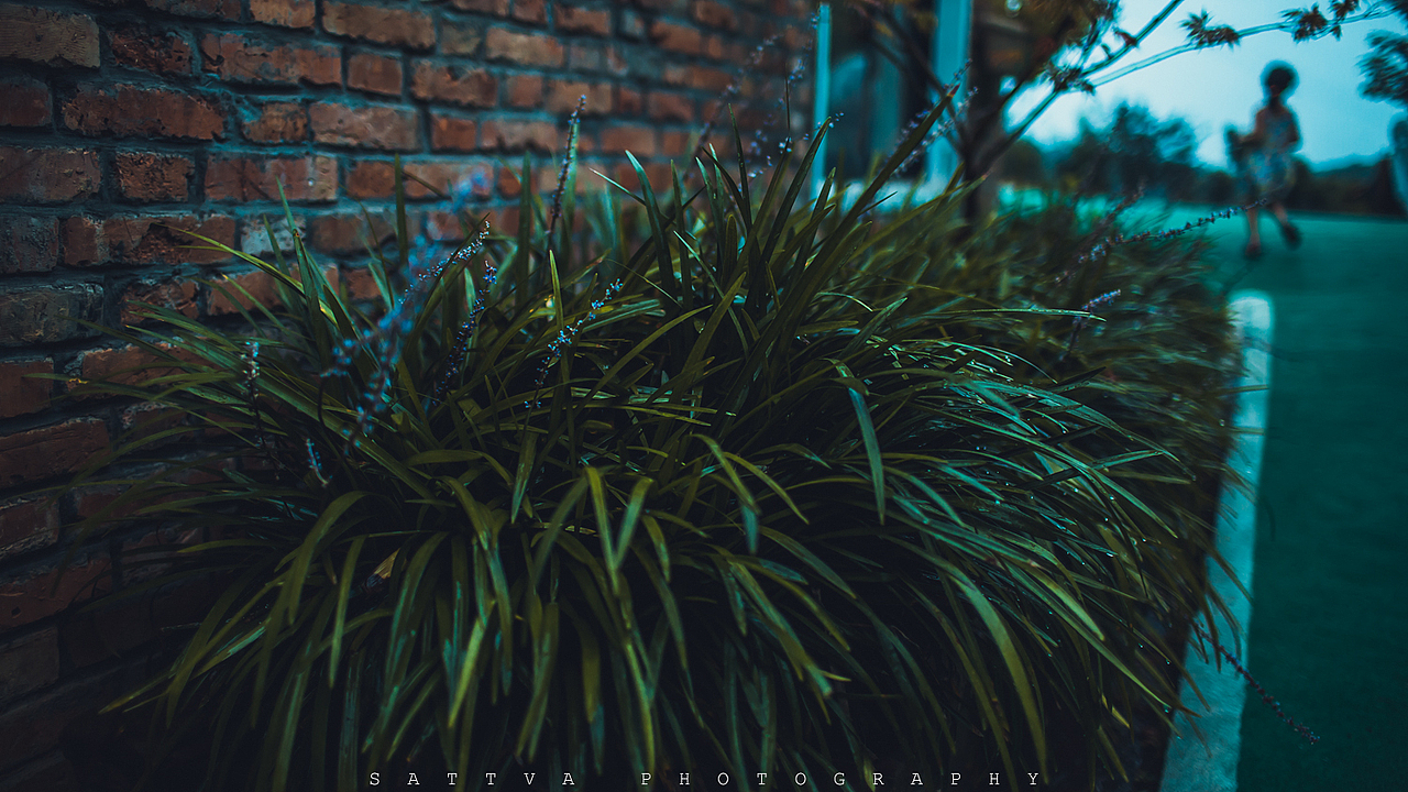 遇见美好的风景（图ZNDU1NDk2NDg=） - 风光摄影 - 站酷设计师众生影原创素材 - 站酷ZCOOL