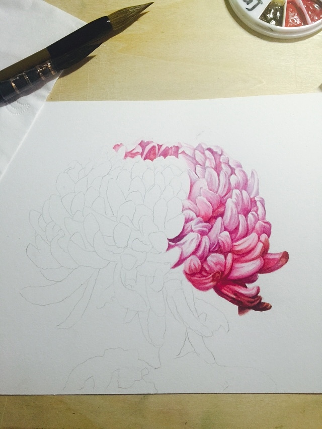 水彩 花卉 原创作品 粉色菊花（图ZNzI0NTk3MDg=） - 绘画 - 站酷设计师Dream梦孟原创素材 - 站酷ZCOOL