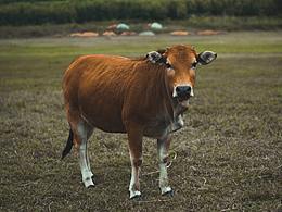 柳州“恭桐水库”露营宝地