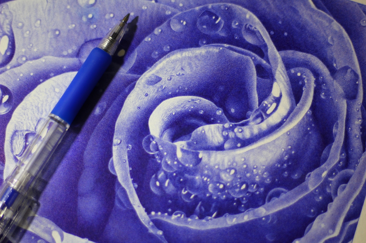 圆珠笔画——蓝色妖姬