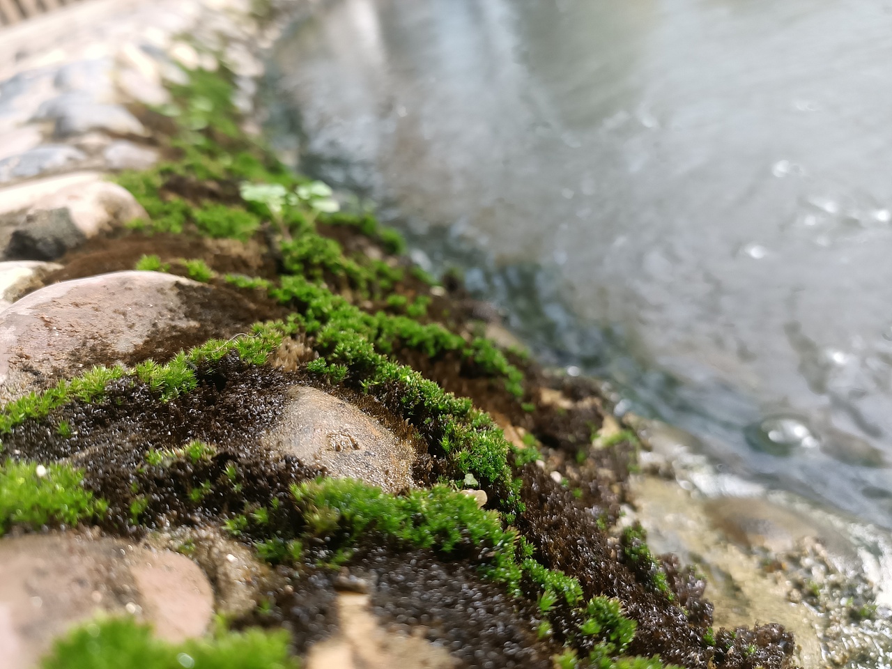 溫室（圖ZMTg3NDU3NjQ4） - 產(chǎn)品攝影 - 站酷設(shè)計師言吾齋原創(chuàng)素材 - 站酷ZCOOL