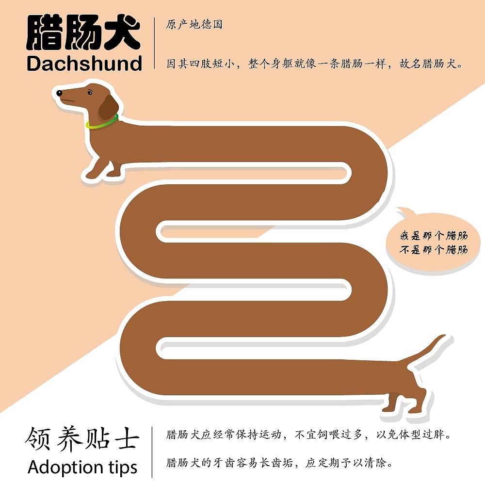 腊肠狗（图ZMTg1MzU3NzY4） - IP形象 - 站酷设计师大鱼UI原创素材 - 站酷ZCOOL