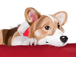 日常板绘写实练习