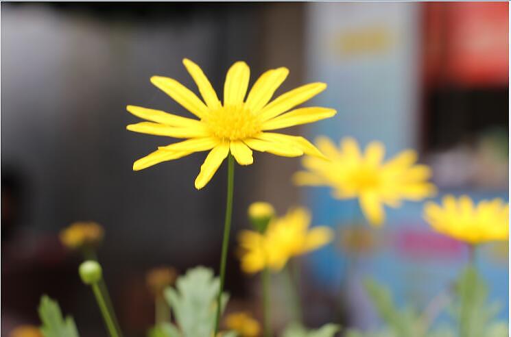 冬天里的温暖（图ZMzk3NjMzMjQ=） - 风光摄影 - 站酷设计师青青风云原创素材 - 站酷ZCOOL