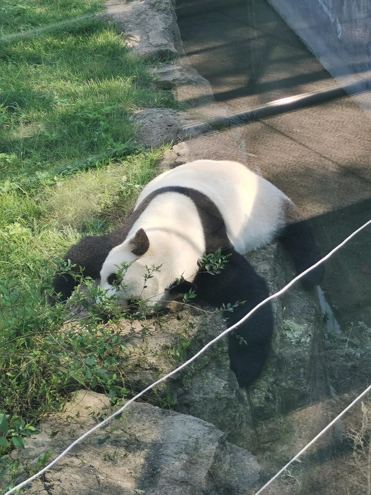 手机摄影（大二上（图ZMjg1MTk1MjA4） - 风光摄影 - 站酷设计师黄鹂月原创素材 - 站酷ZCOOL