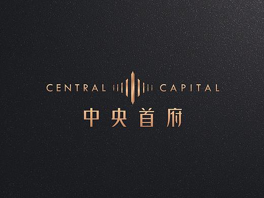 地产VI-logo延展-中央首府