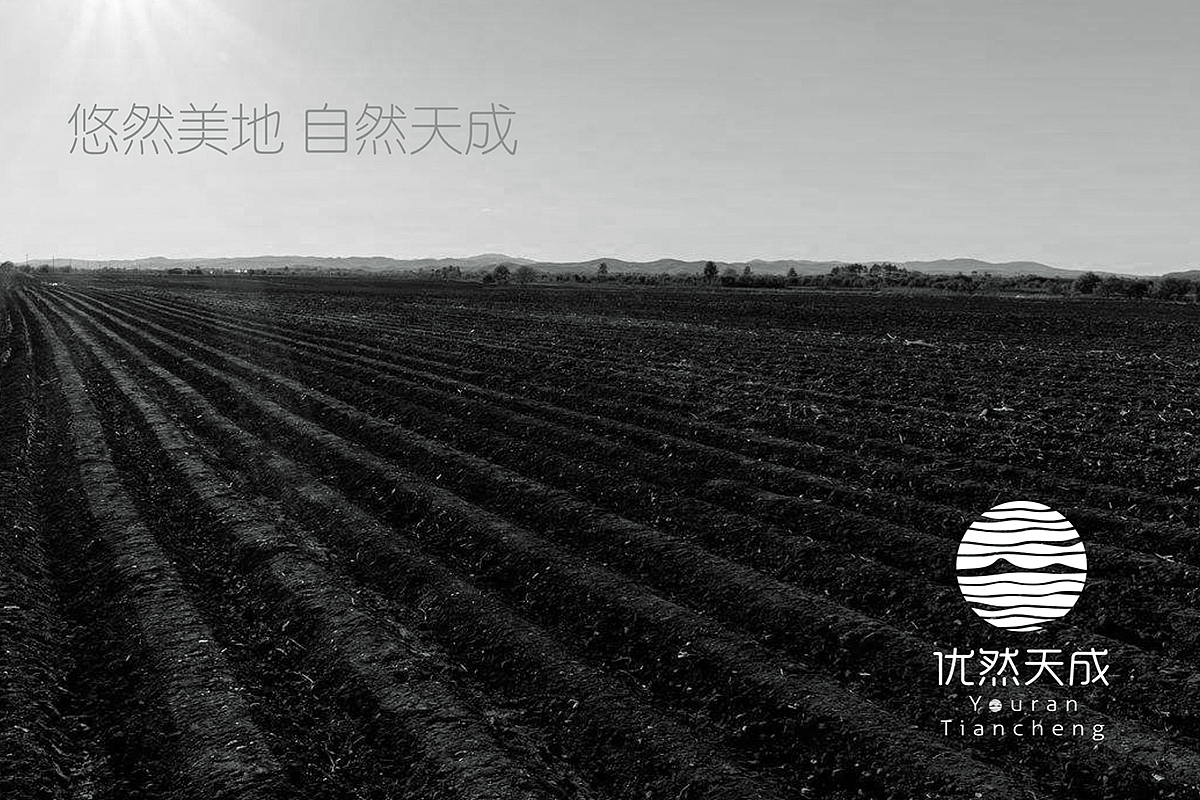 优然天成 美好与你 农业品牌全案设计（图ZMTIxMDI3MzI0） - 品牌 - 站酷设计师向北品牌设计原创素材 - 站酷ZCOOL