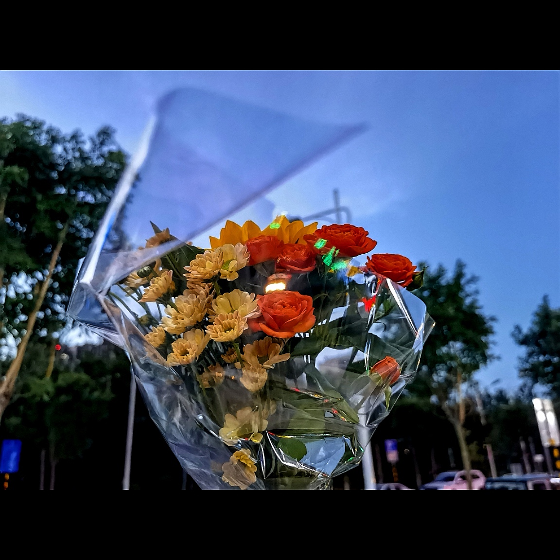 芒kaka的个人主页（封面预览） - 主页封面设置 - 站酷设计师芒kaka原创素材 - 站酷ZCOOL