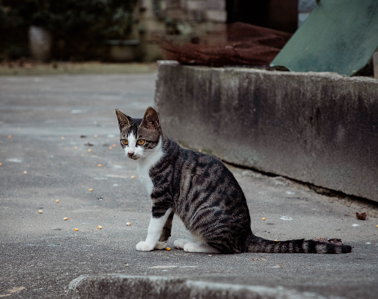 随处可见的农村场景（图ZMjI3MTIyNTQw） - 人文/纪实摄影 - 站酷设计师我有条狗叫汤圆原创素材 - 站酷ZCOOL