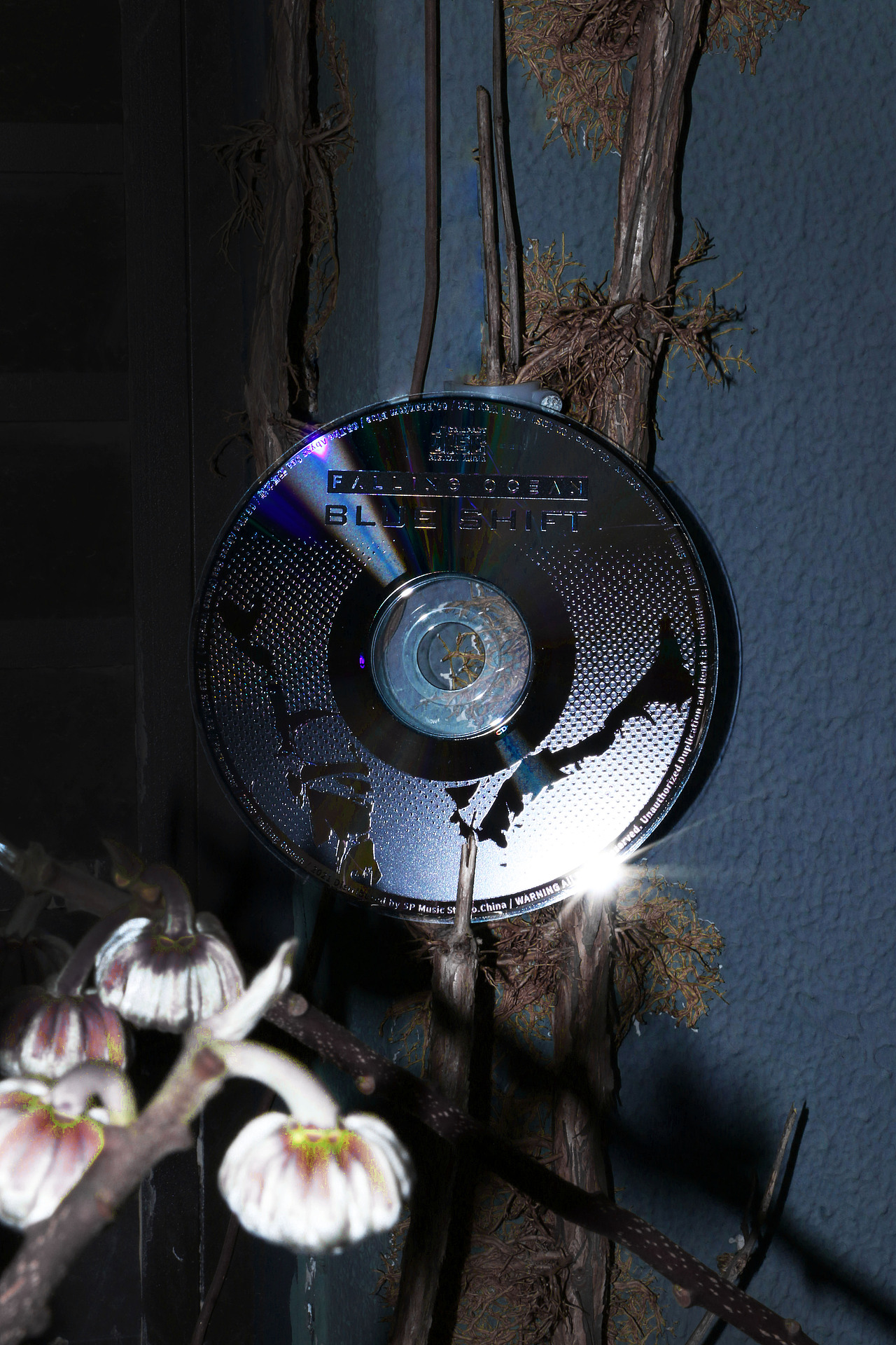 Falling Ocean乐队实体专辑Blue Shift唱片包装设计（图ZMjQyNzQ2NTI0） - 包装 - 站酷设计师Hammy哈米原创素材 - 站酷ZCOOL