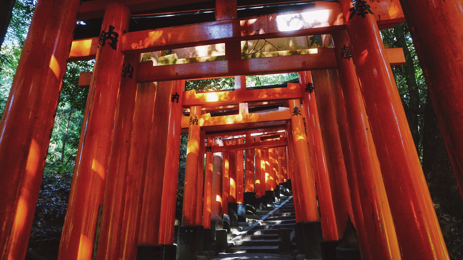 伏见稻荷大社|摄影|游记|s_q_q - 原创作品 - 站酷 (zcool)