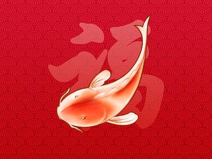 锦鲤贺新年