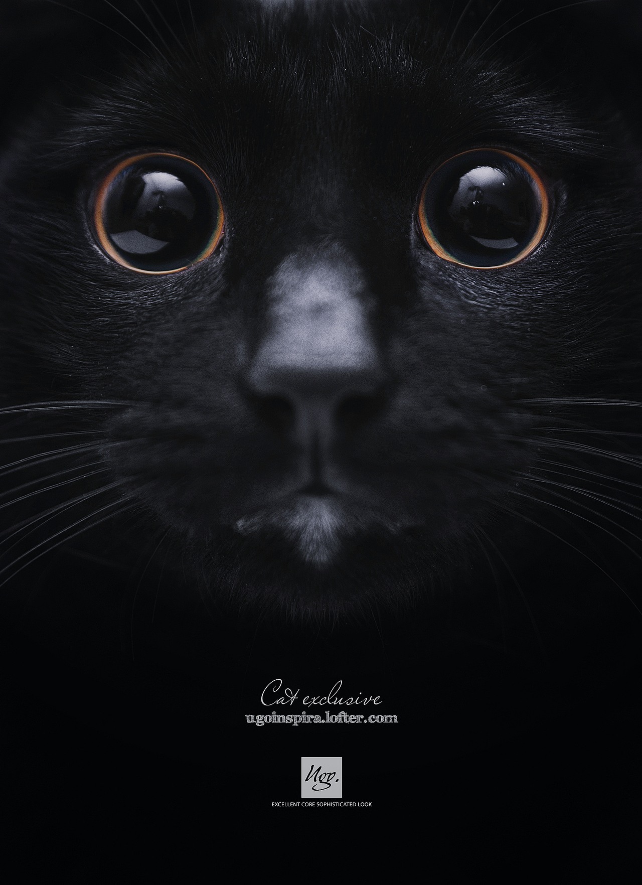 我猜我们见过面.恩?【动物摄影师何某某个人作品2】