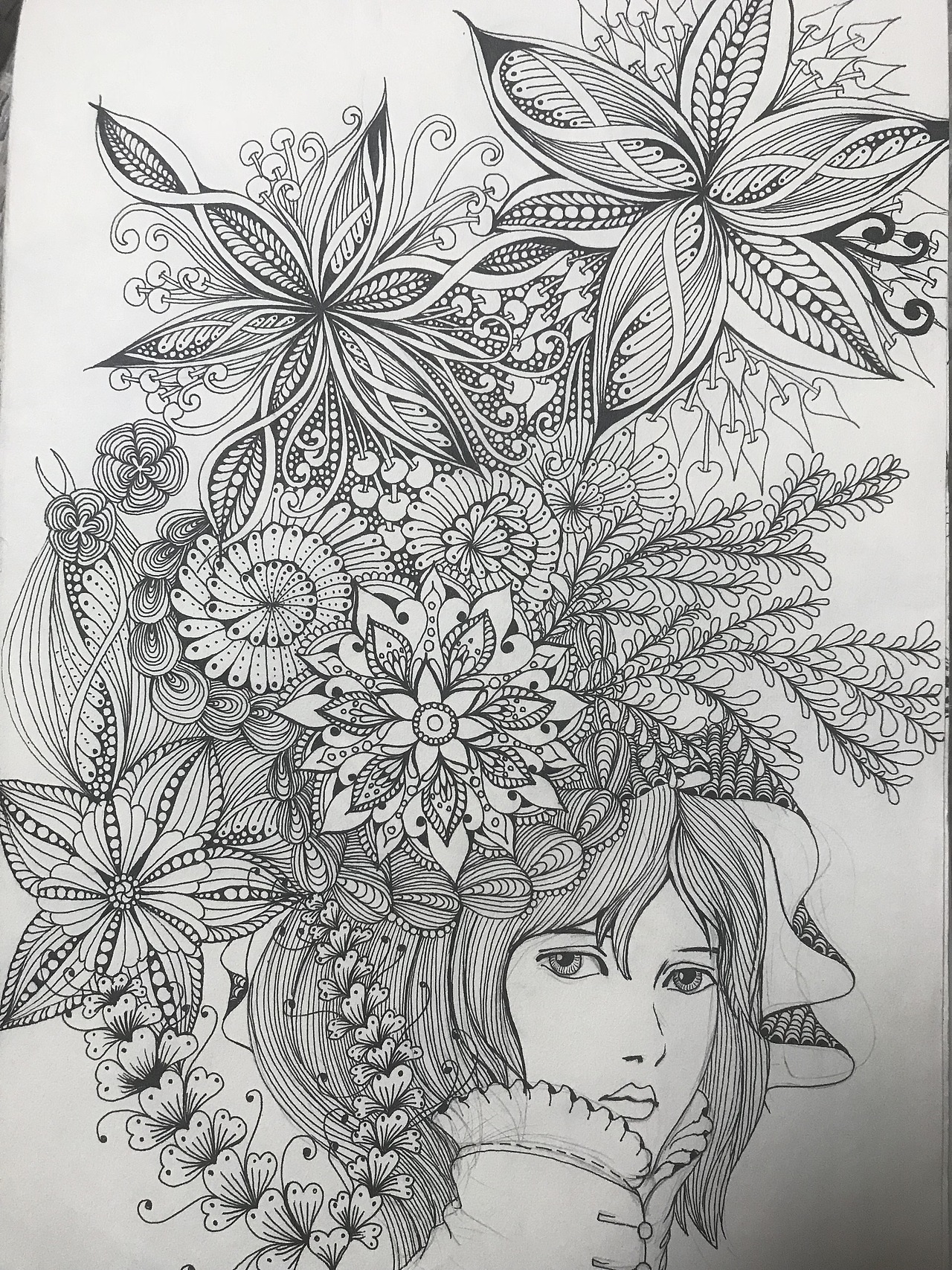 手绘线描|插画|创作习作|扎根溪水旁_原创作品-站酷zcool