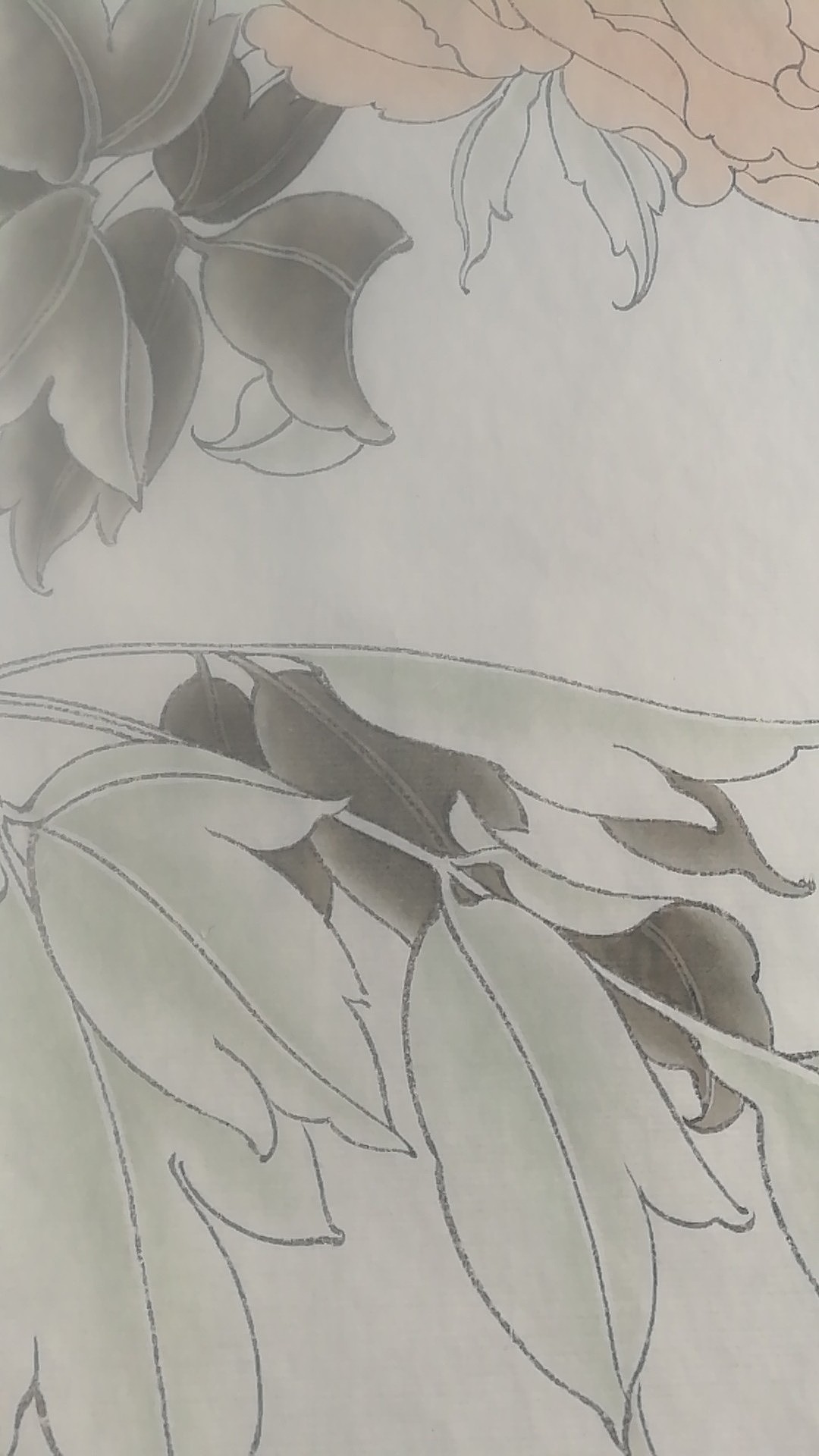 状元红（图ZMTM5OTI5ODYw） - 绘画 - 站酷设计师大光明王原创素材 - 站酷ZCOOL