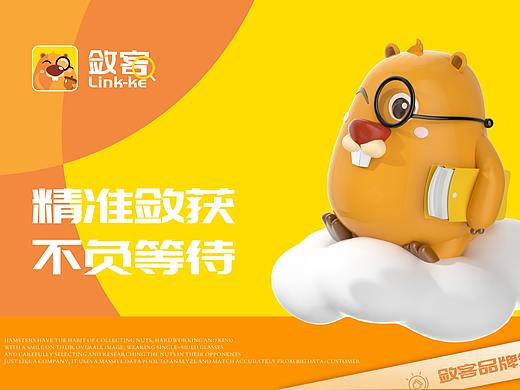 【敛客】互联网大数据IP品牌形象设计