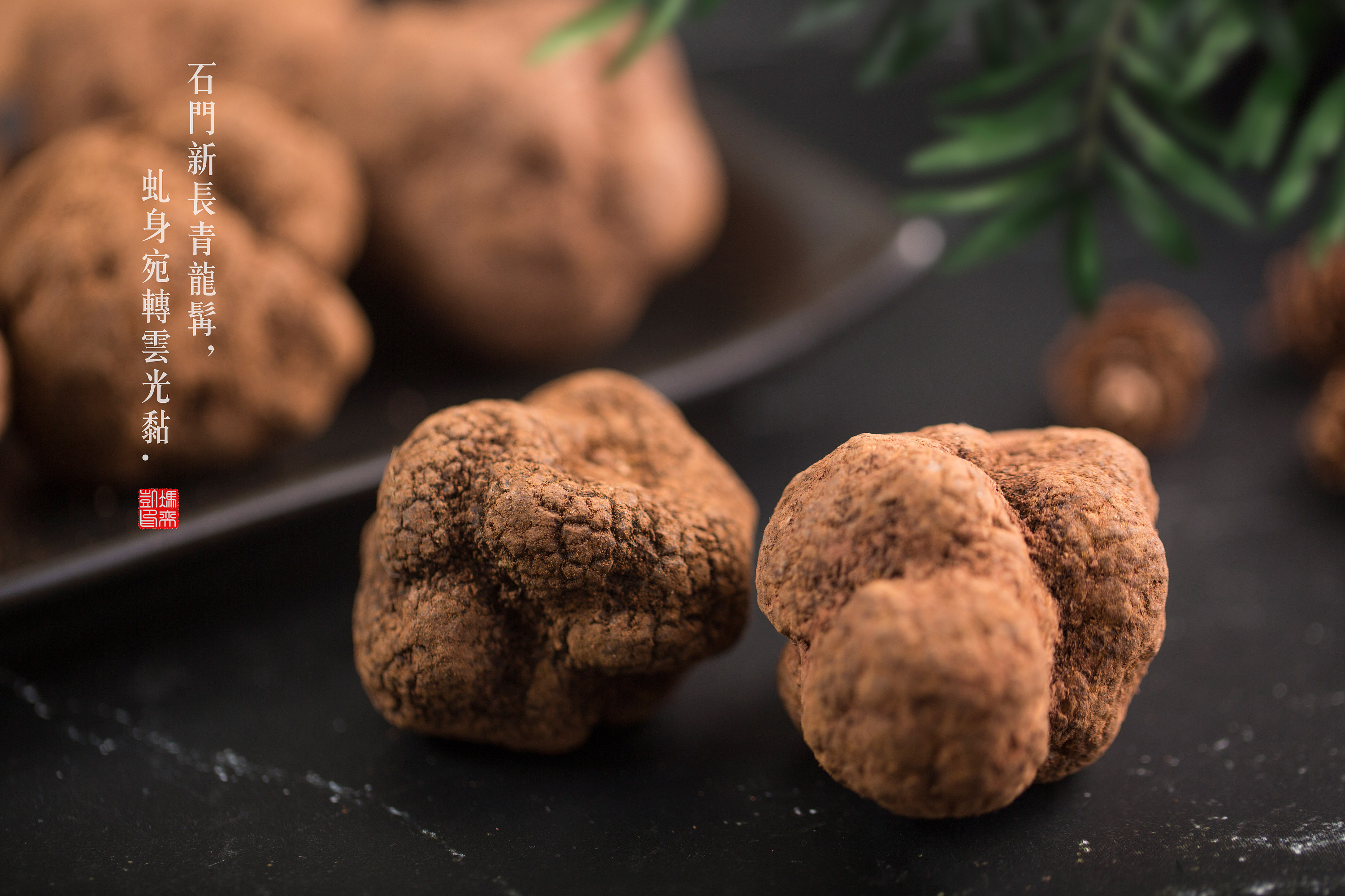 松露拍摄.|摄影|静物|ekin冯奕凯 - 原创作品 - 站酷 (zcool)