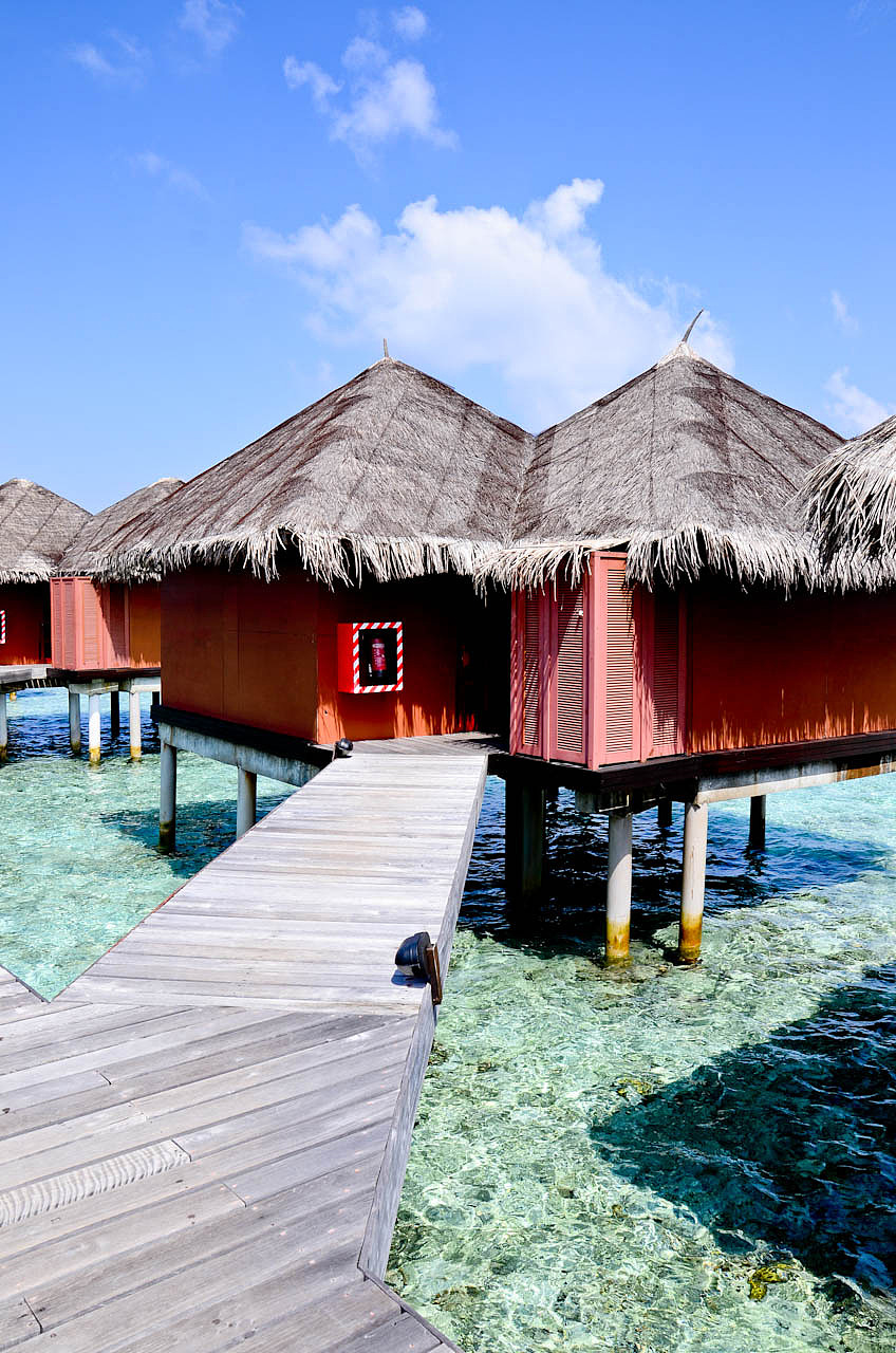 马尔代夫游记 - 梦幻岛 - 四晚六天（图ZNTM5NzkwMA==） - 风光摄影 - 站酷设计师blue_hermit原创素材 - 站酷ZCOOL