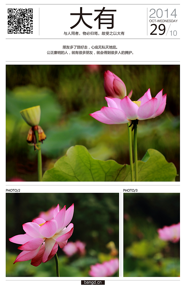 易朵莲花--《荷》摄影日记(图ZMjIxNjUxNjg=) - 风光摄影 - 站酷设计师午夜红茶原创素材 - 站酷ZCOOL