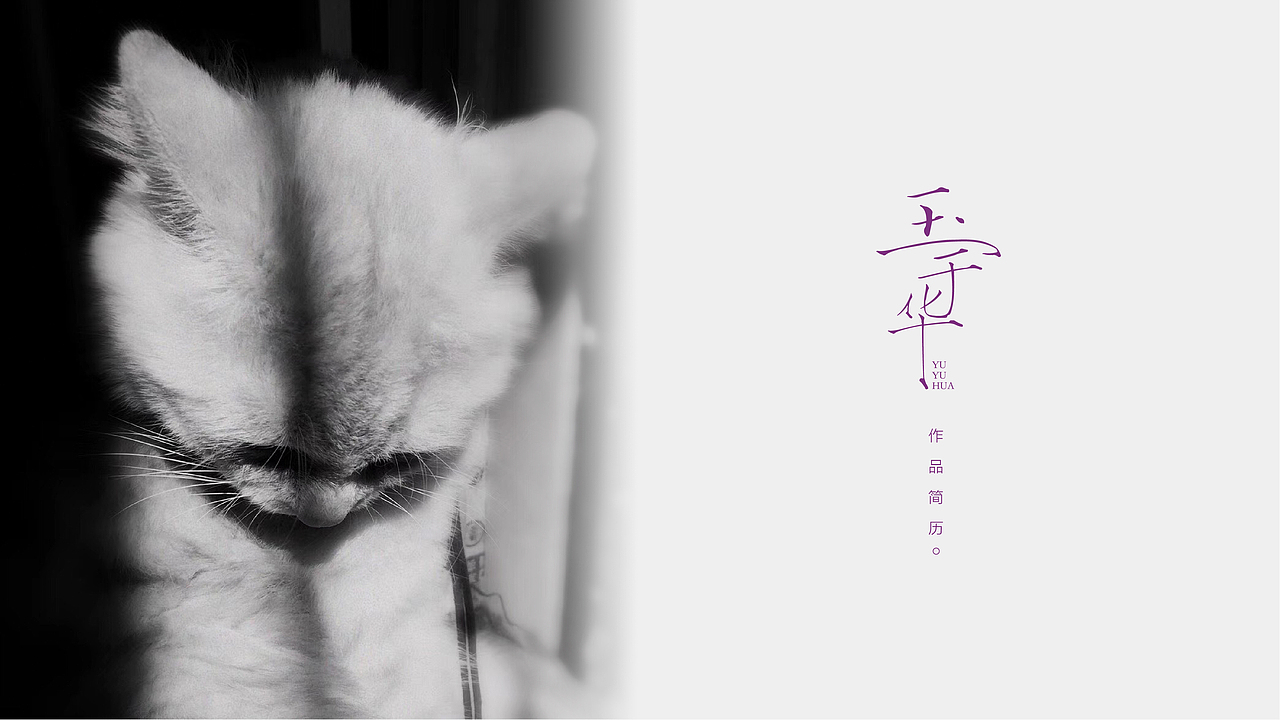 个人作品简历
