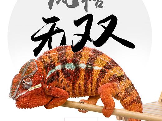 曲美家居-上市两周年-动物系列创意海报