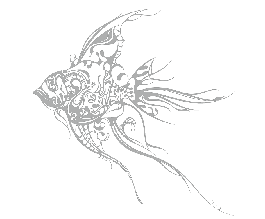鱼的变形设计手绘图片