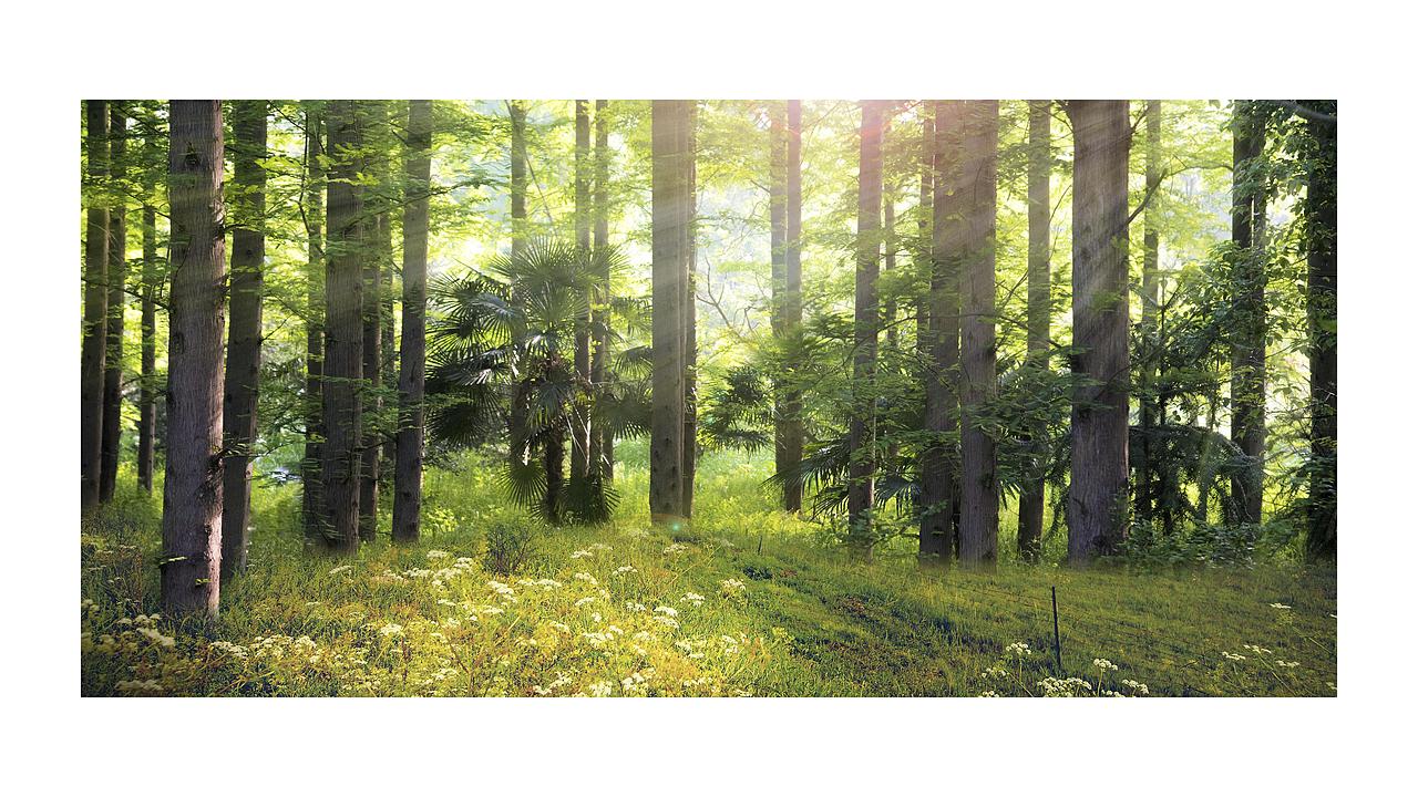 【蜂蜜包装】云南楚雄土蜂蜜包装 追赤视觉