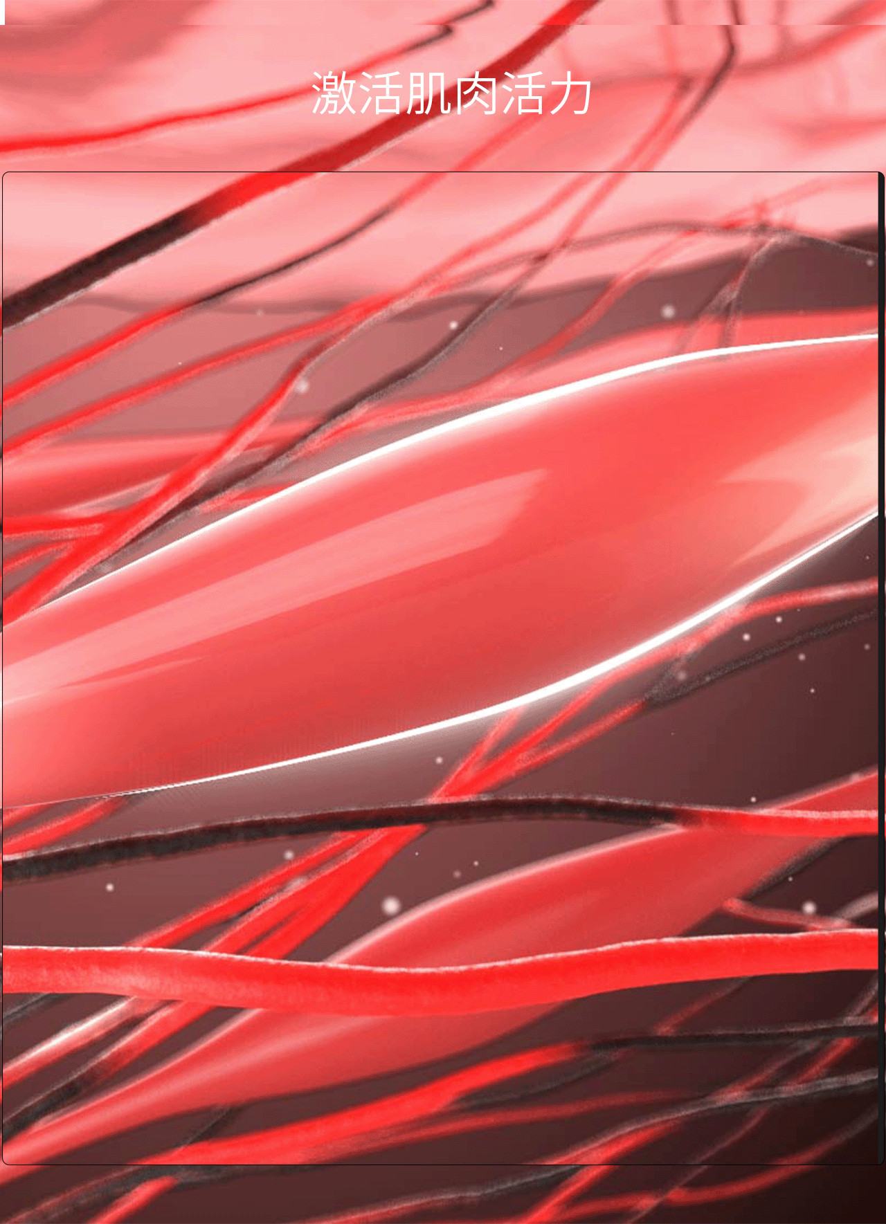 筋膜枪三维动画（图ZMjM5MjA2MzI0） - 产品 - 站酷设计师阿拉丁先生原创素材 - 站酷ZCOOL