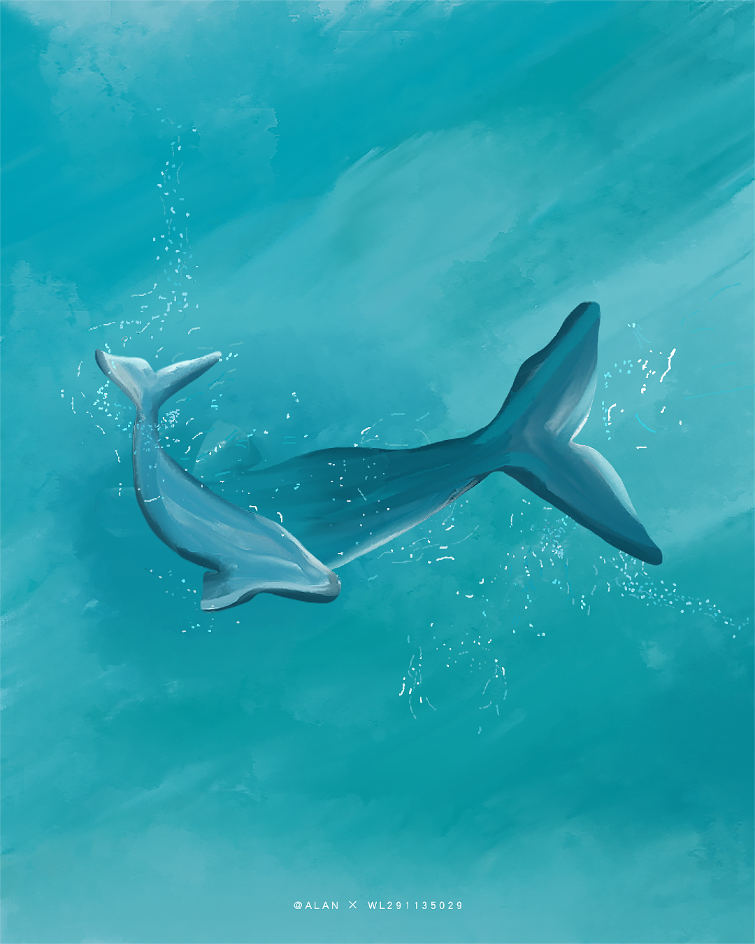 插画-海豚（图ZMjExOTc5MzQ0） - 创作习作 - 站酷设计师W天菜原创素材 - 站酷ZCOOL