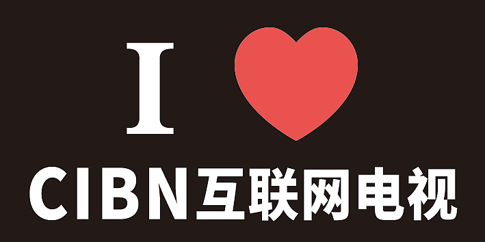 2017年BIRTV展