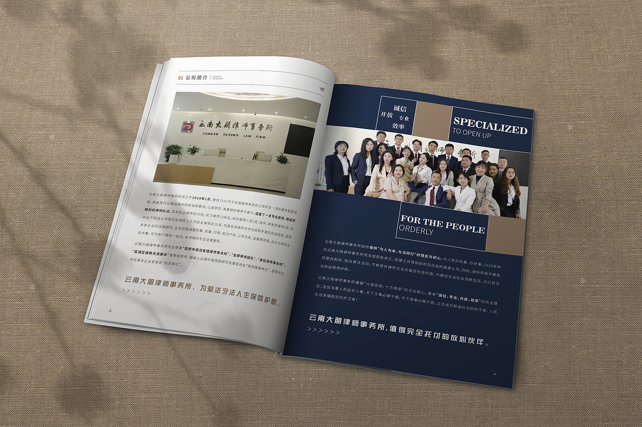 <律师事务所画册设计>