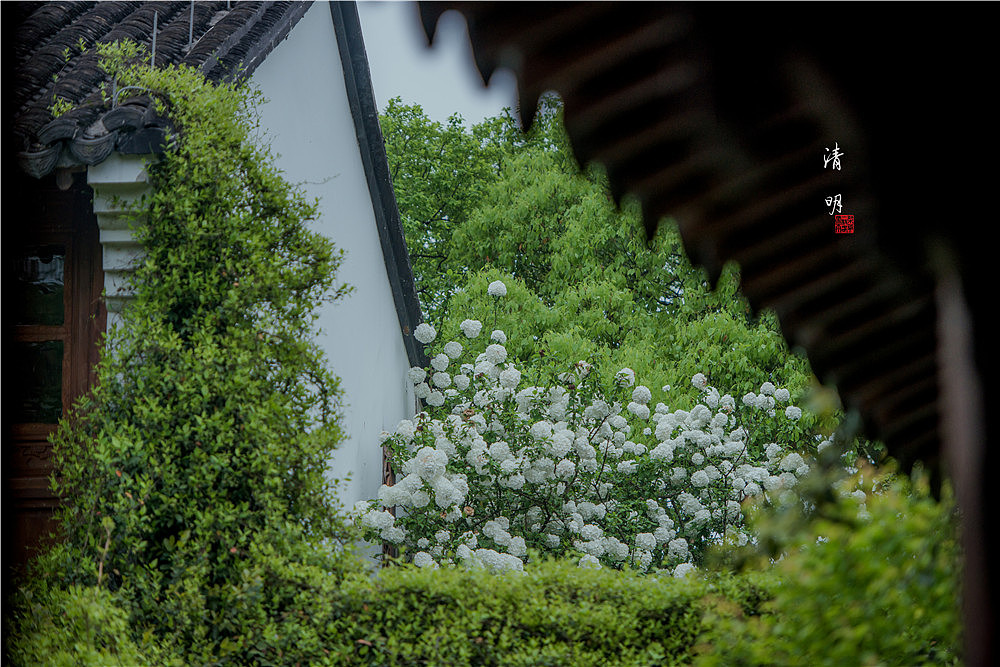 清明~（图ZMTExNjcwMjY0） - 风光摄影 - 站酷设计师马丁的老相机原创素材 - 站酷ZCOOL