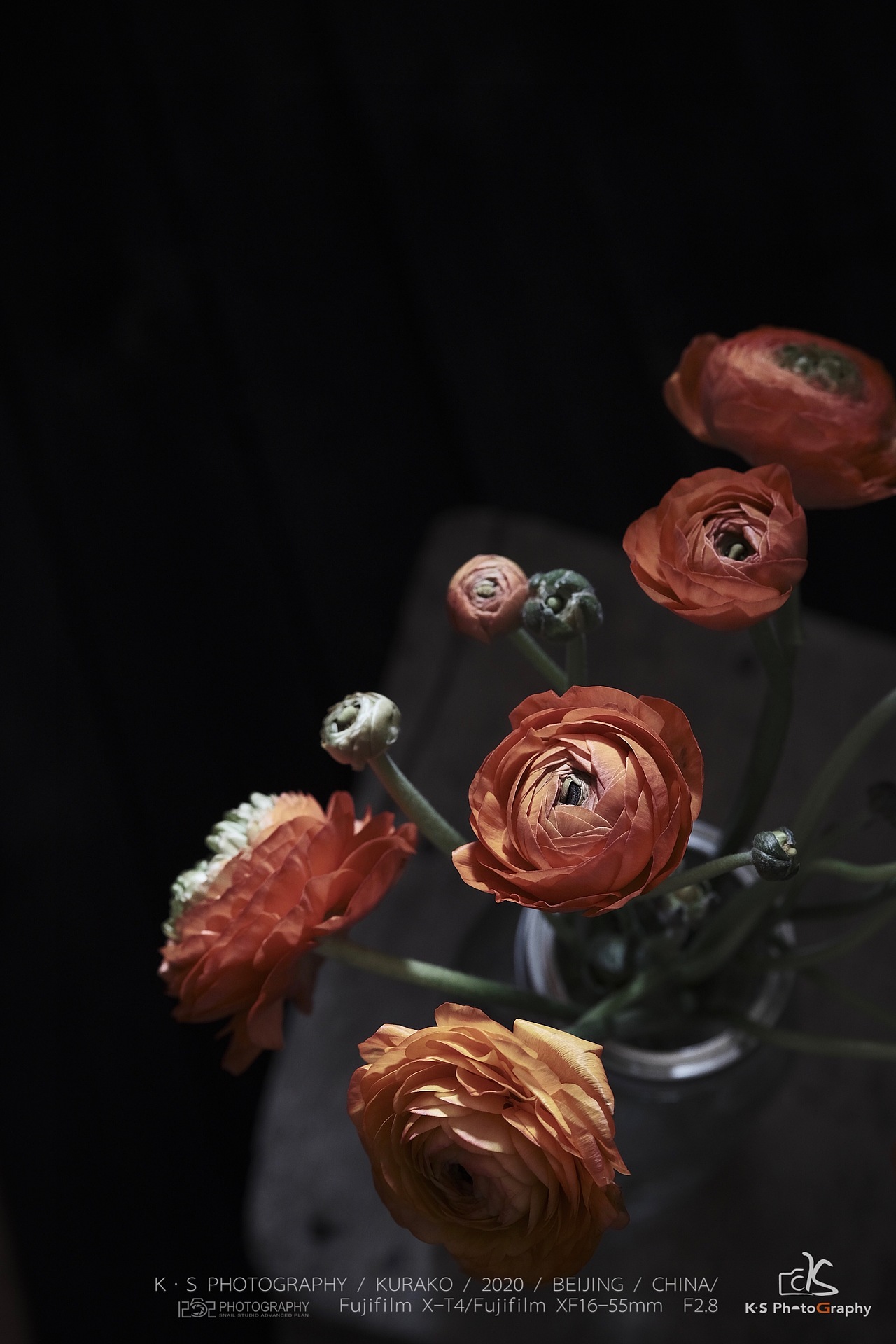 1252第87轮约拍#橙色#