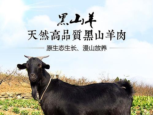 淘宝 京东黑山羊肉众筹