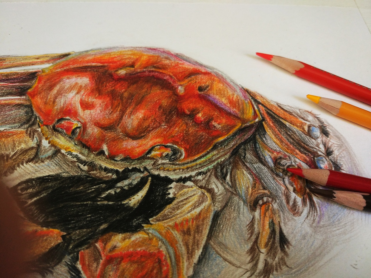 九月蟹肥（图ZMTMwMTgzNzk2） - 绘画 - 站酷设计师一只有思想的猫原创素材 - 站酷ZCOOL