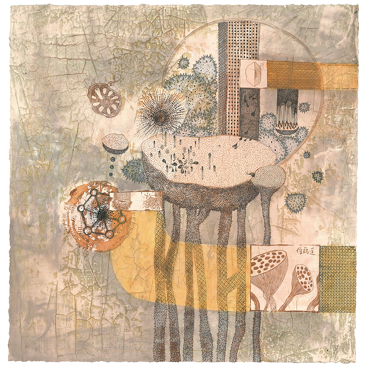 「本草纪」系列