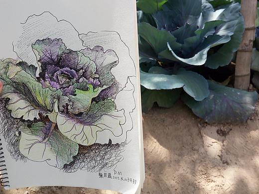 小练习